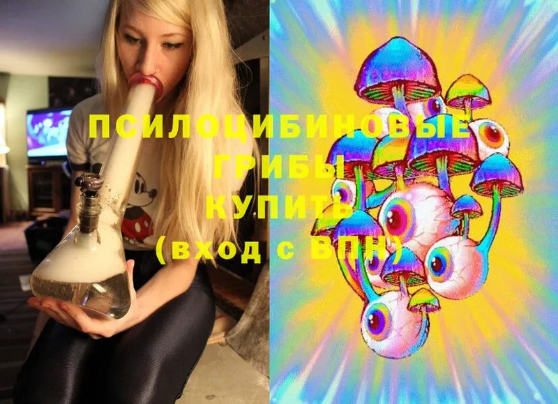 Галлюциногенные грибы MAGIC MUSHROOMS  даркнет сайт  Венёв 